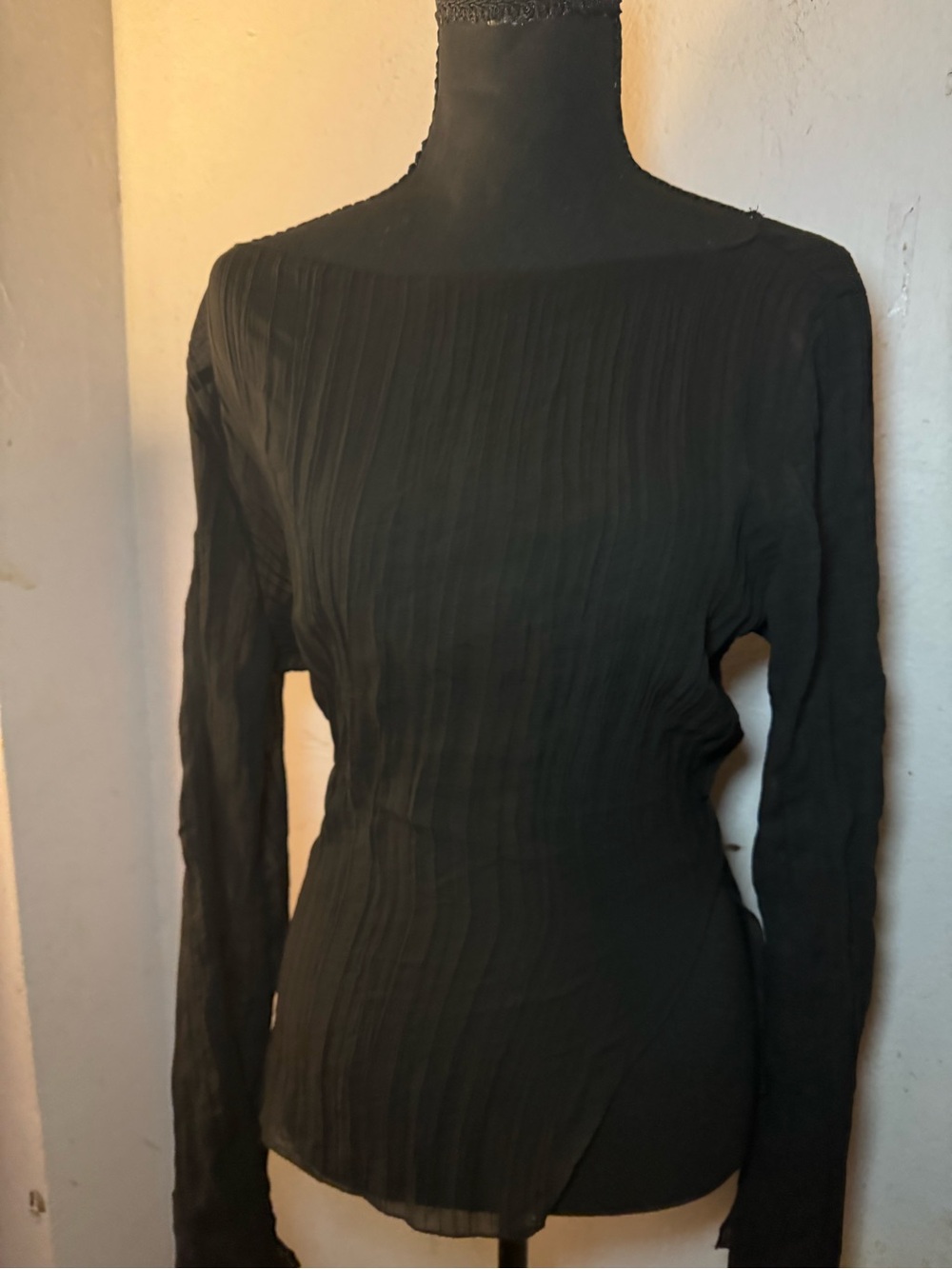 Sheer Black Long-Sleeve Pleated Women’s Dress Top s/m